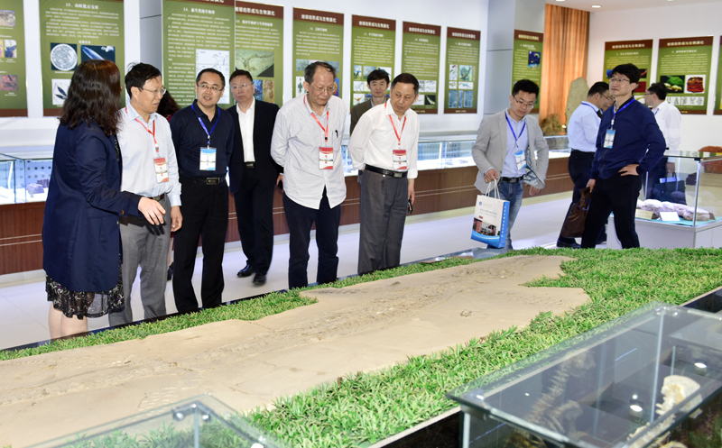 437ccm·必赢国际