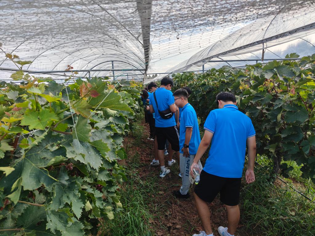 437ccm·必赢国际