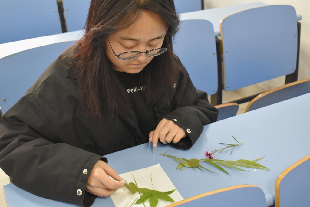 437ccm·必赢国际