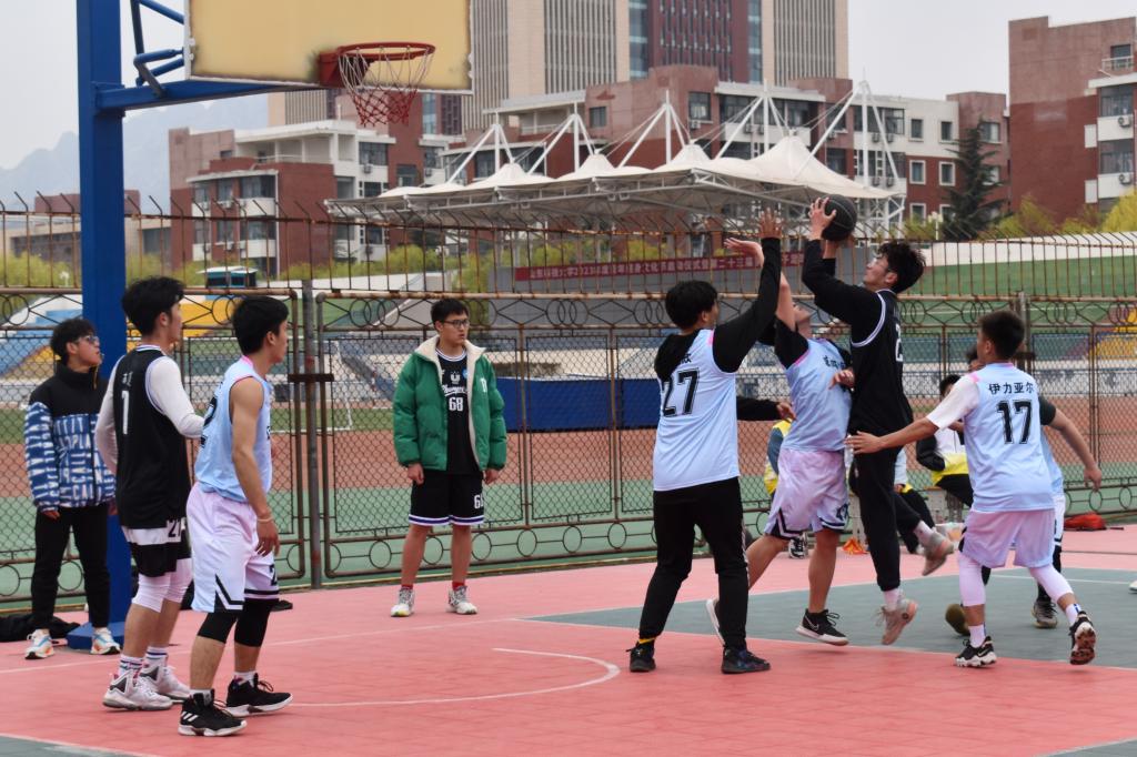 437ccm·必赢国际