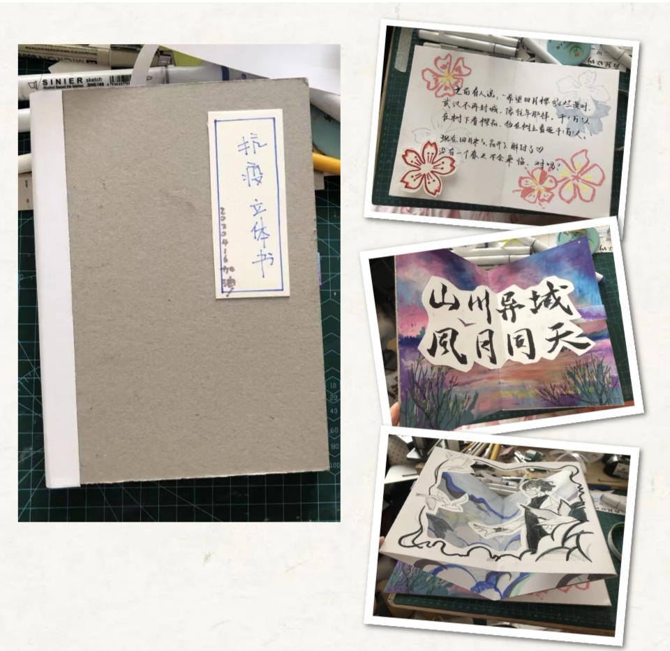 437ccm·必赢国际