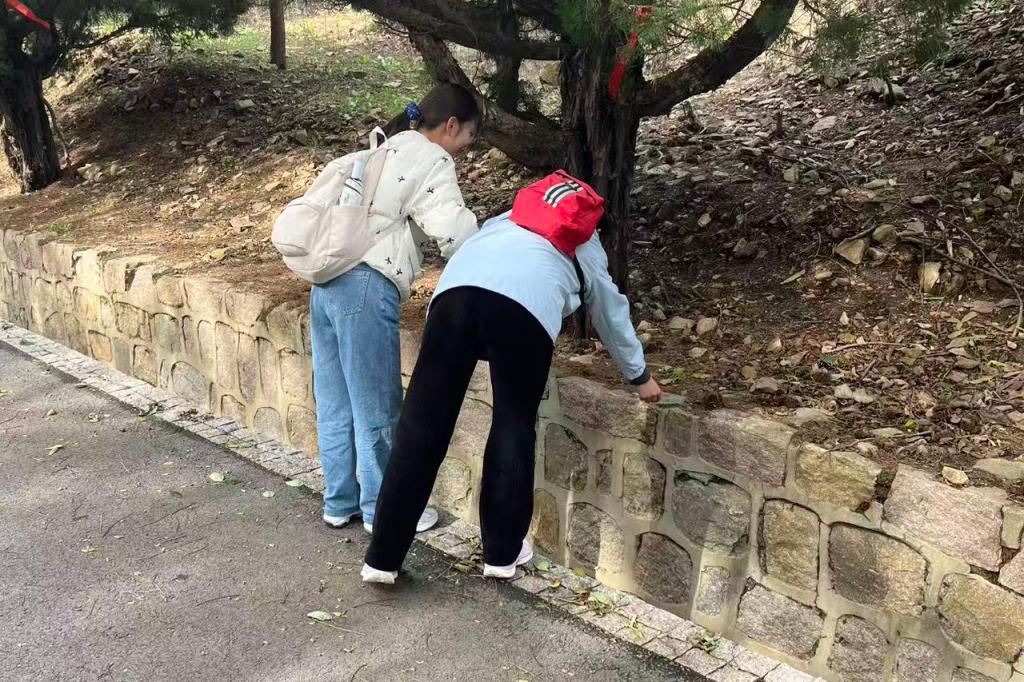 437ccm·必赢国际