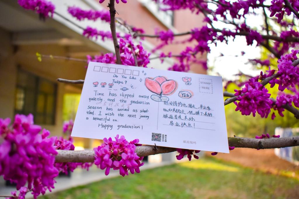 437ccm·必赢国际