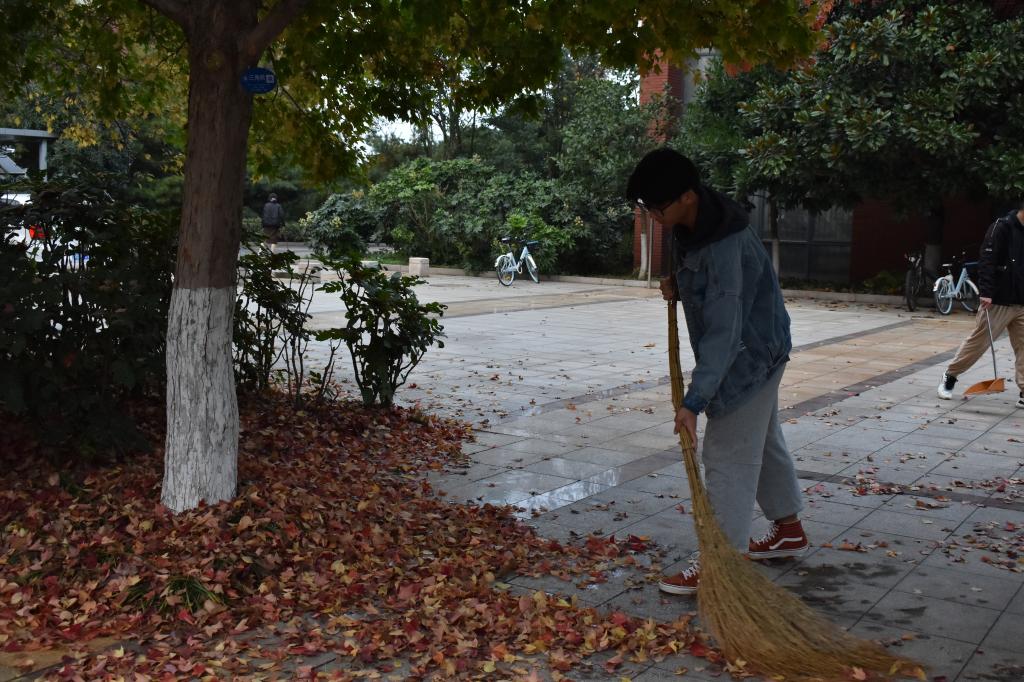 437ccm·必赢国际