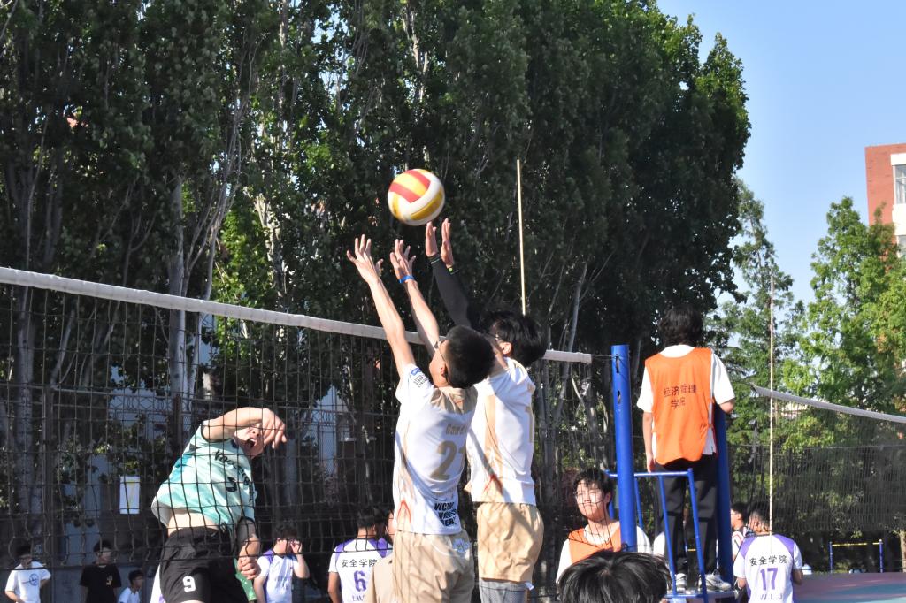 437ccm·必赢国际