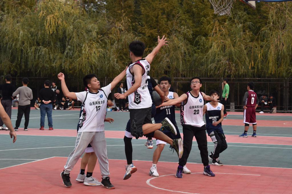 437ccm·必赢国际