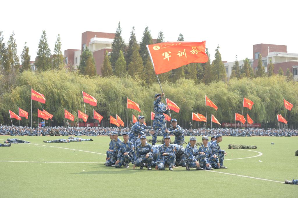 437ccm·必赢国际