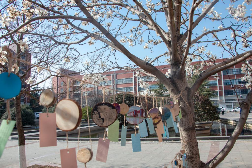 437ccm·必赢国际