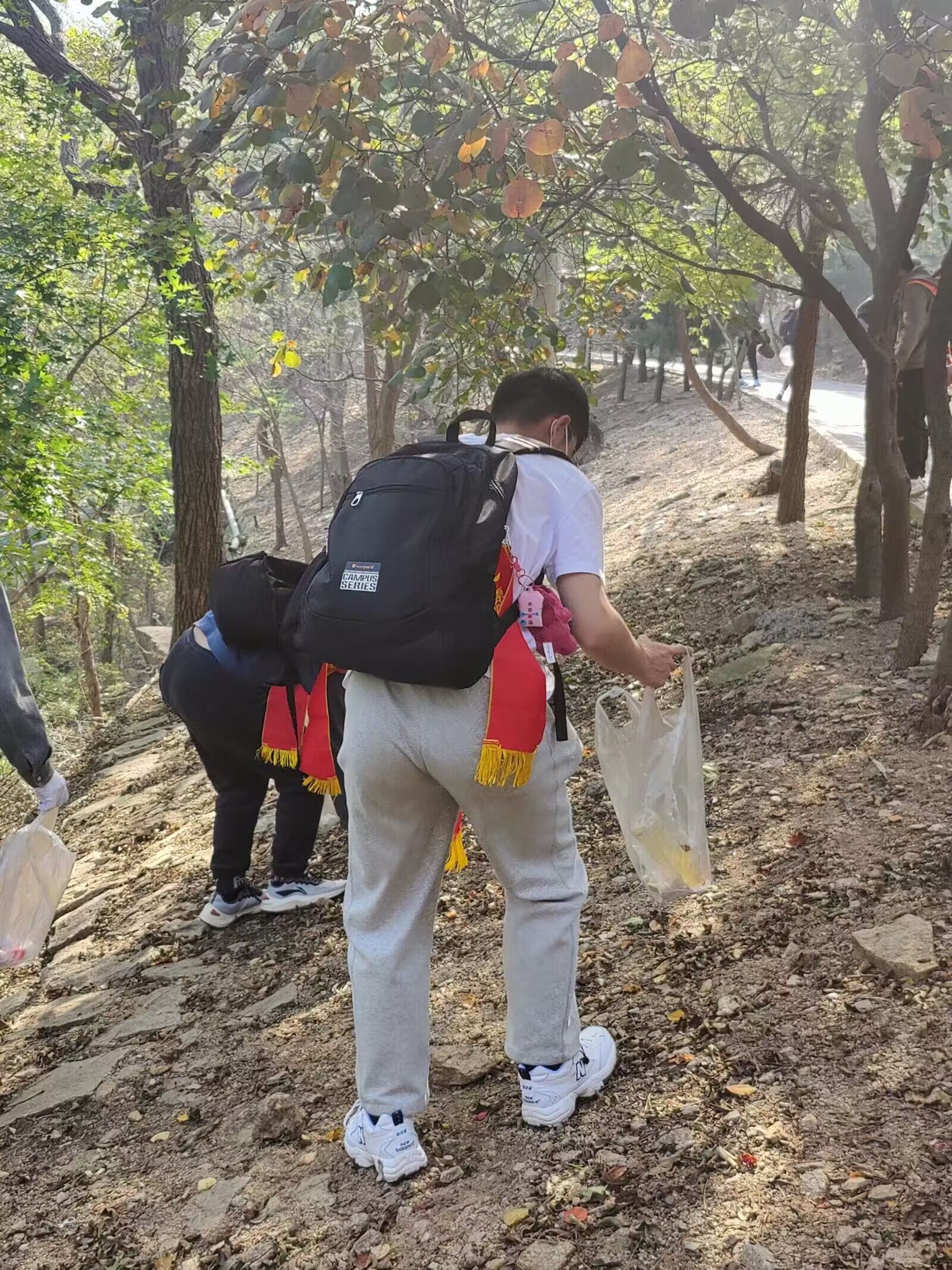 437ccm·必赢国际