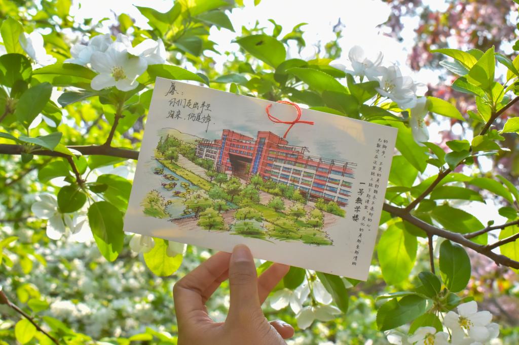 437ccm·必赢国际