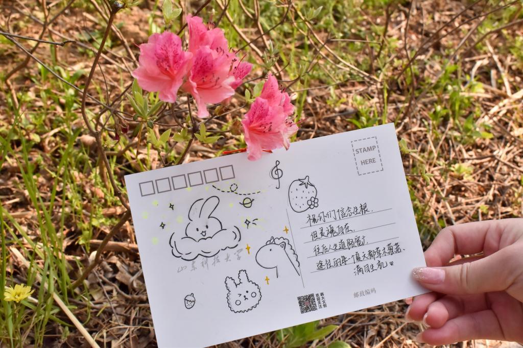 437ccm·必赢国际