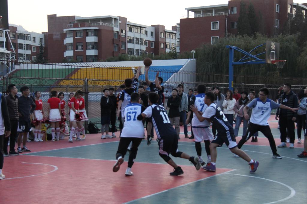 437ccm·必赢国际