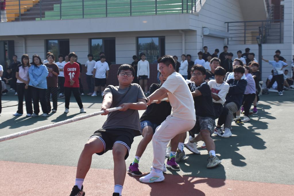 437ccm·必赢国际