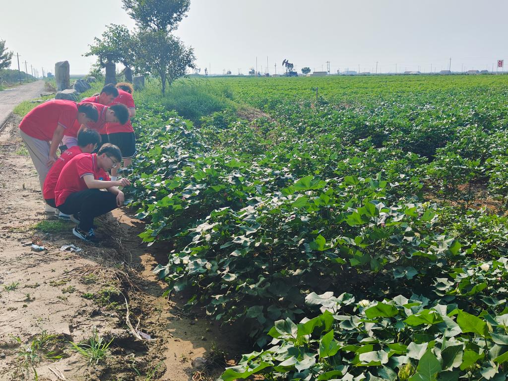 437ccm·必赢国际