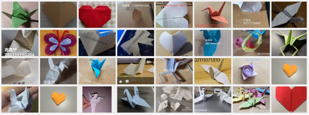 437ccm·必赢国际