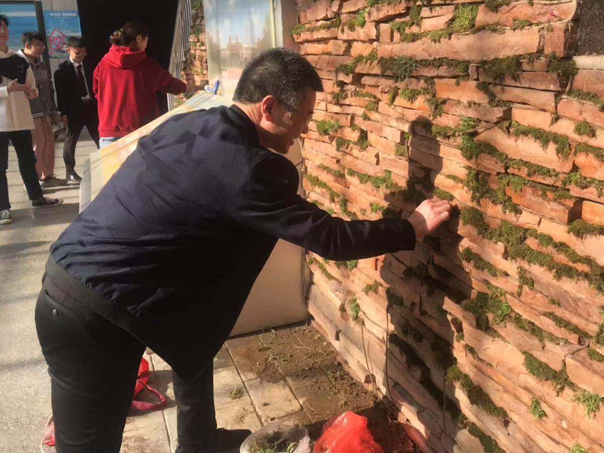 437ccm·必赢国际