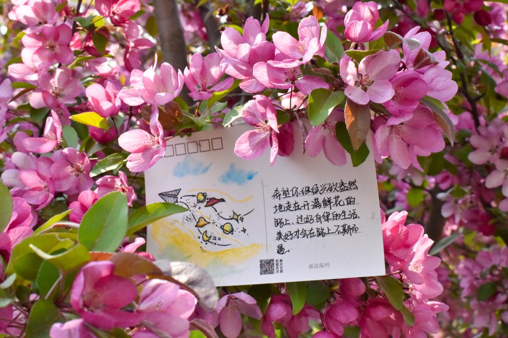 437ccm·必赢国际