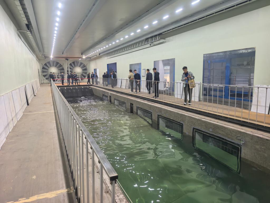 437ccm·必赢国际