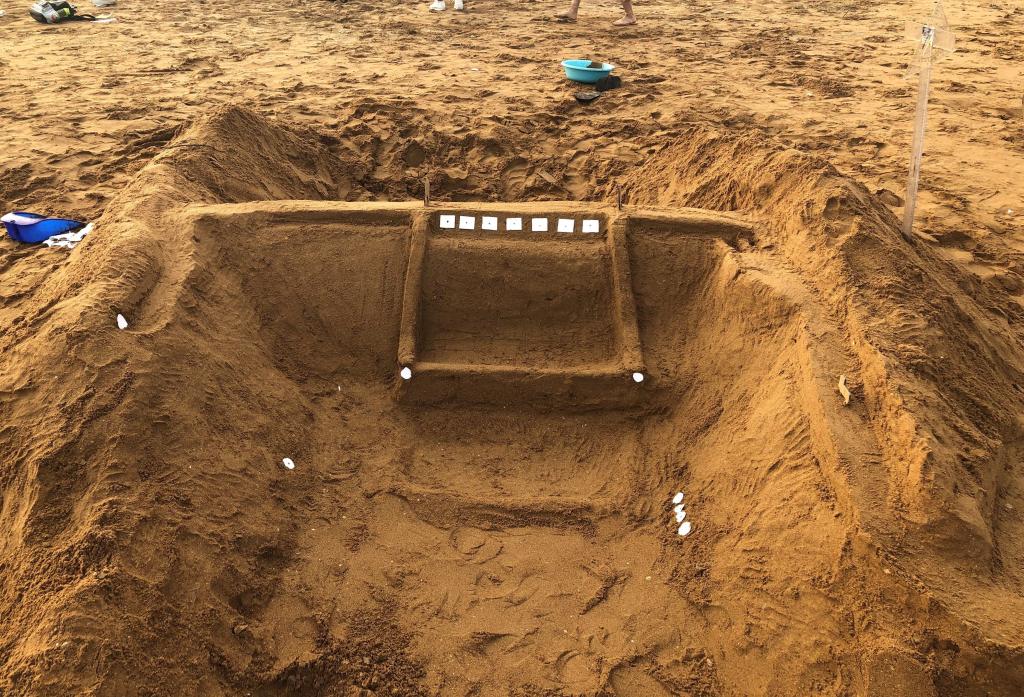 437ccm·必赢国际