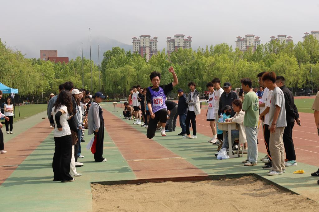 437ccm·必赢国际