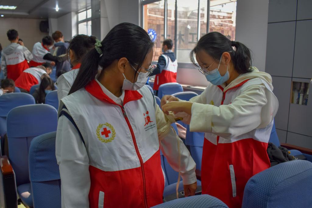 437ccm·必赢国际