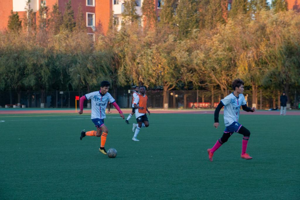 437ccm·必赢国际