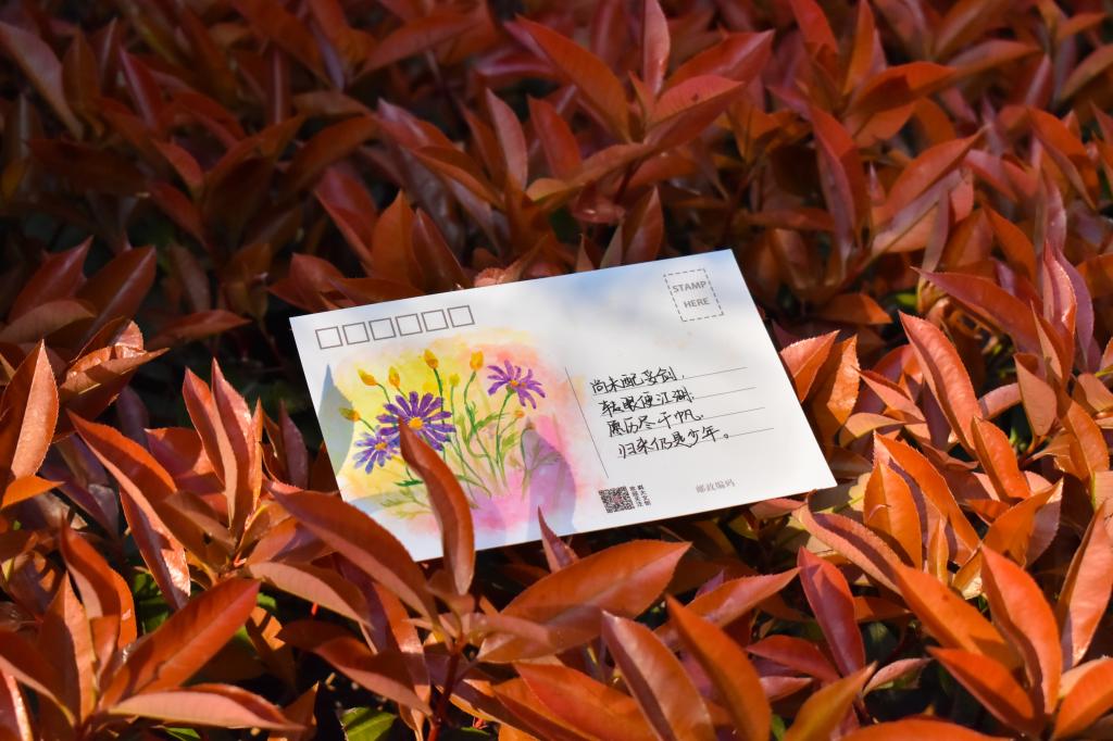 437ccm·必赢国际