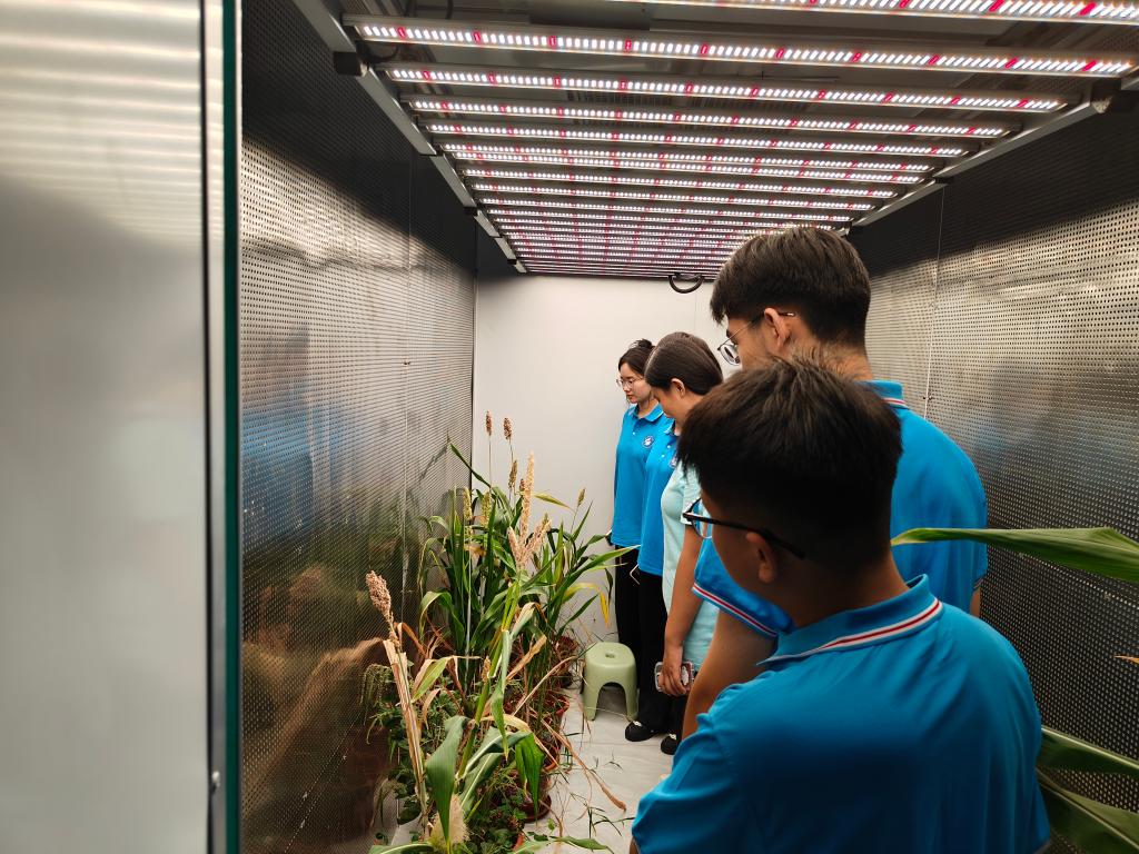 437ccm·必赢国际