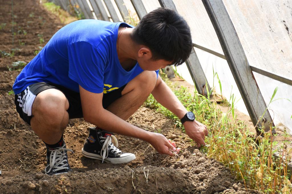 437ccm·必赢国际