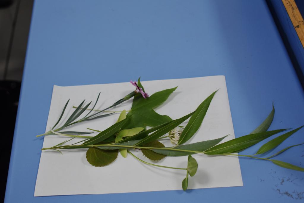 437ccm·必赢国际