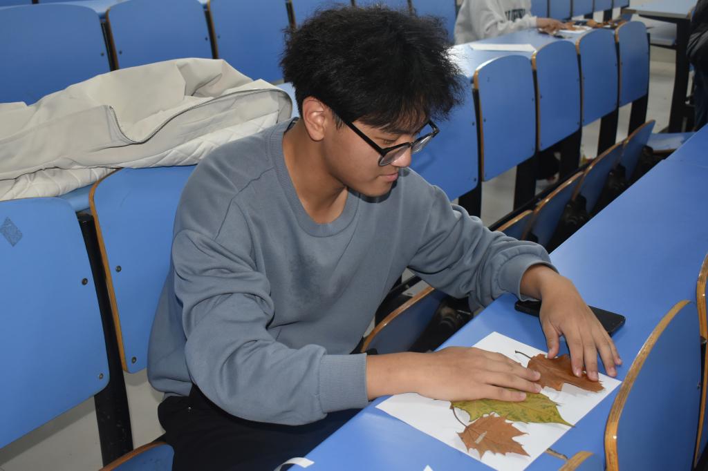 437ccm·必赢国际