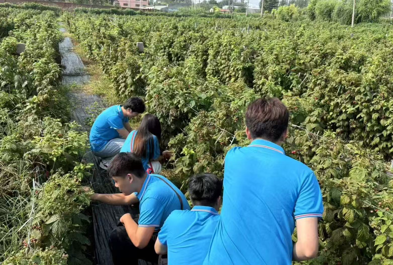 437ccm·必赢国际