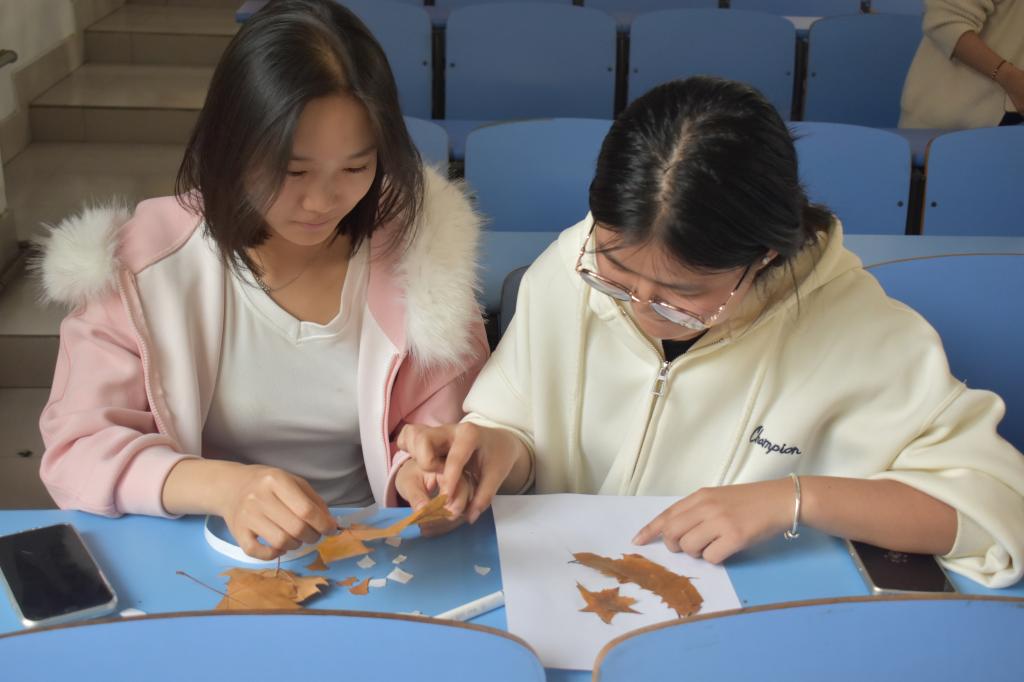 437ccm·必赢国际