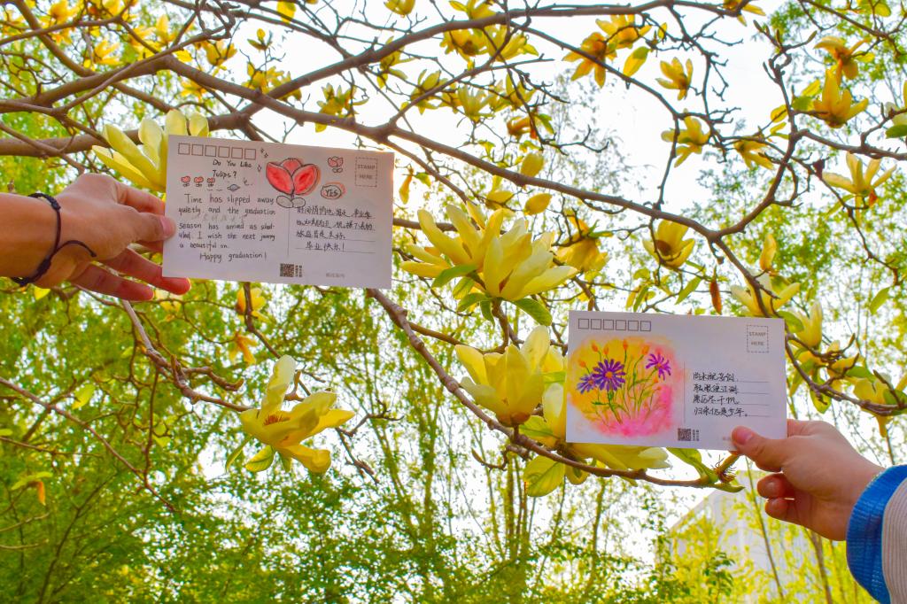 437ccm·必赢国际