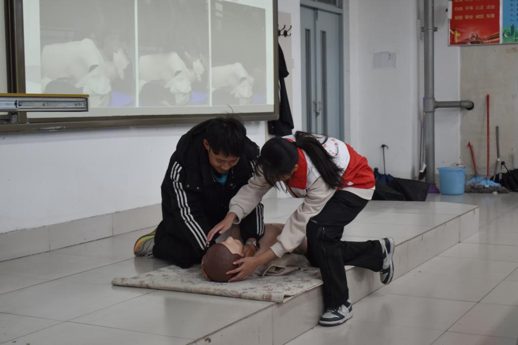 437ccm·必赢国际