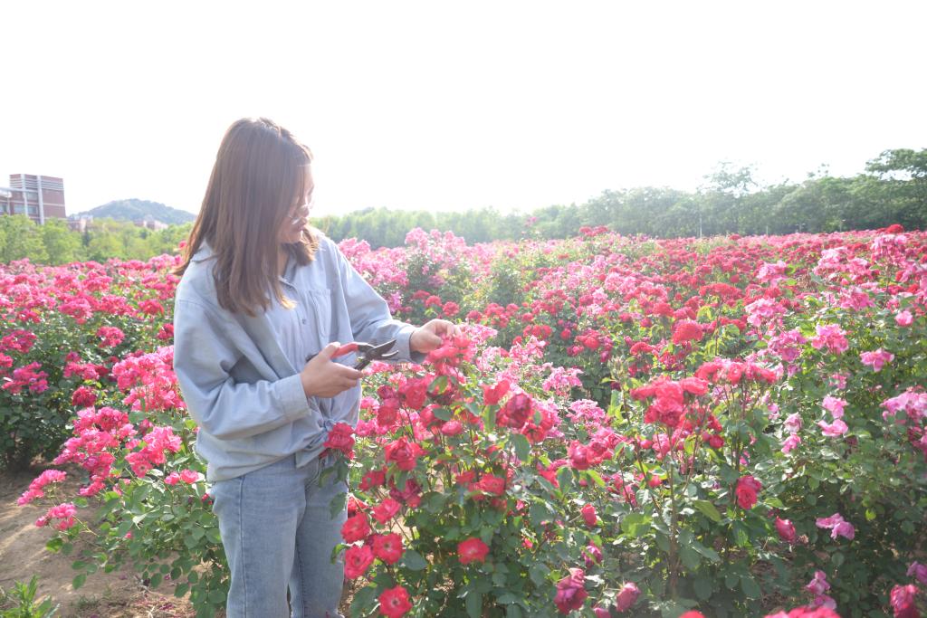 437ccm·必赢国际